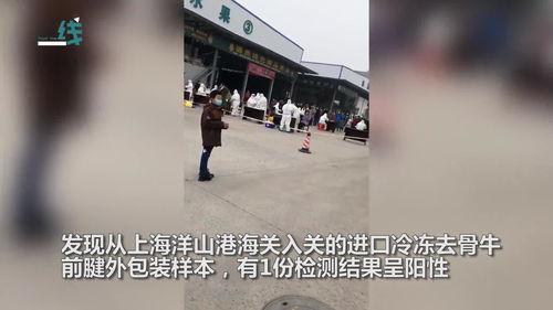 湖北荆门爆料新闻最新消息,突发事件引发关注，详情即将揭晓！